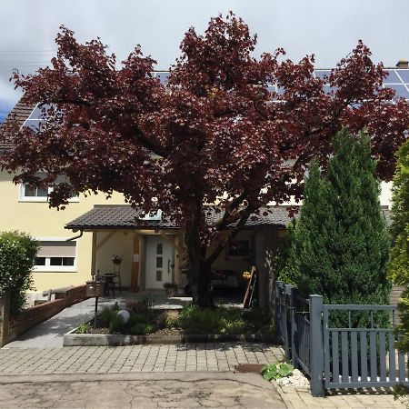 Apartmentvermietung Ingrid Bolkart - Voehlino 2 Illertissen Extérieur photo
