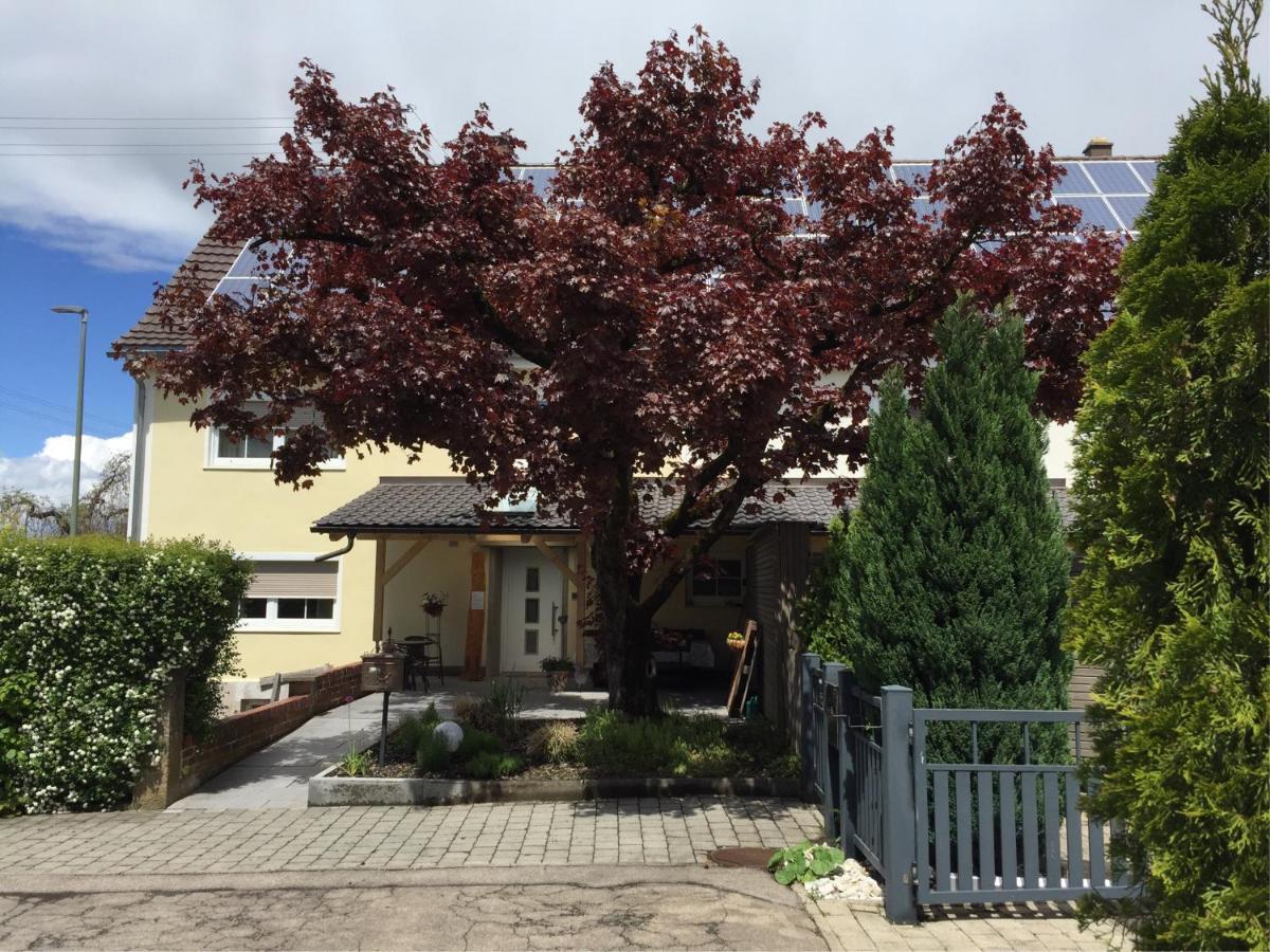 Apartmentvermietung Ingrid Bolkart - Voehlino 2 Illertissen Extérieur photo